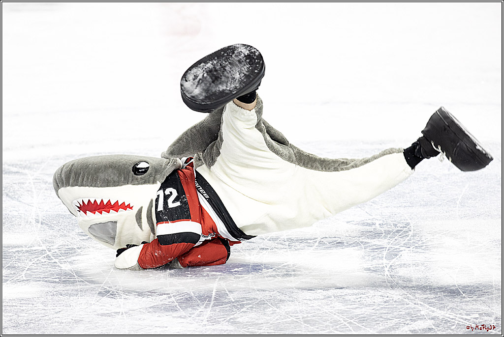 PENNY DEL;  Koelner Haie - Bietigheim Steelers; Koeln, 19.11.2021